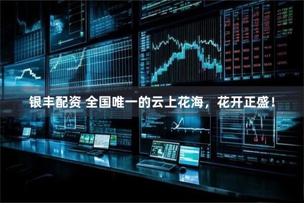 银丰配资 全国唯一的云上花海，花开正盛！