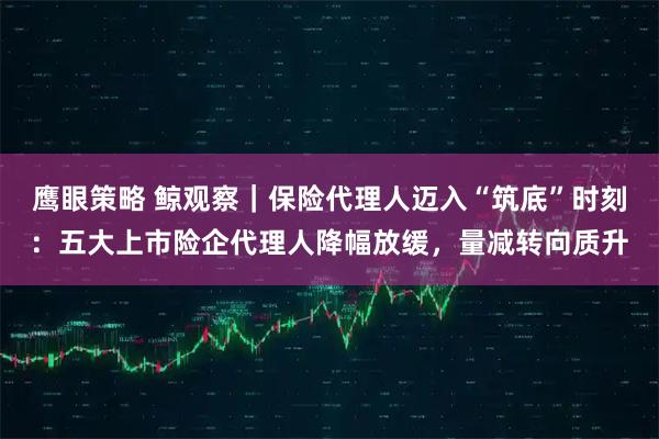 鹰眼策略 鲸观察｜保险代理人迈入“筑底”时刻：五大上市险企代理人降幅放缓，量减转向质升
