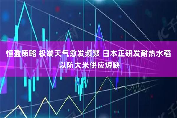 恒盈策略 极端天气愈发频繁 日本正研发耐热水稻 以防大米供应短缺