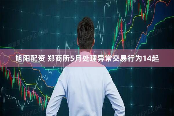 旭阳配资 郑商所5月处理异常交易行为14起