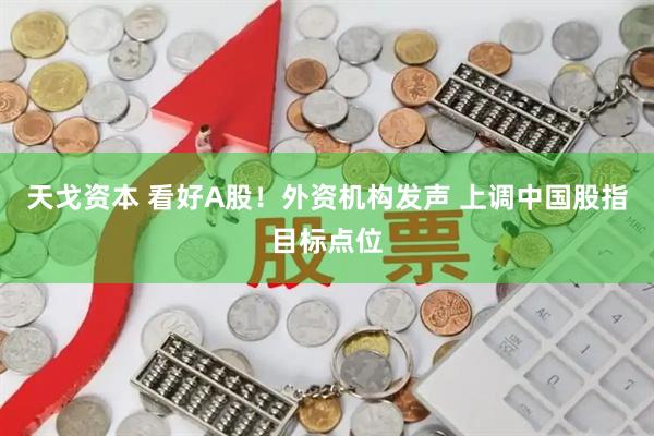 天戈资本 看好A股！外资机构发声 上调中国股指目标点位