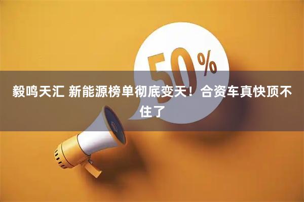 毅鸣天汇 新能源榜单彻底变天！合资车真快顶不住了